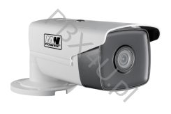 Kamera MW POWER IPC-VT506FSD